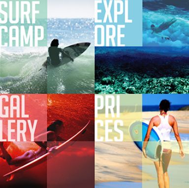 portfolio/details/puravida-website.html