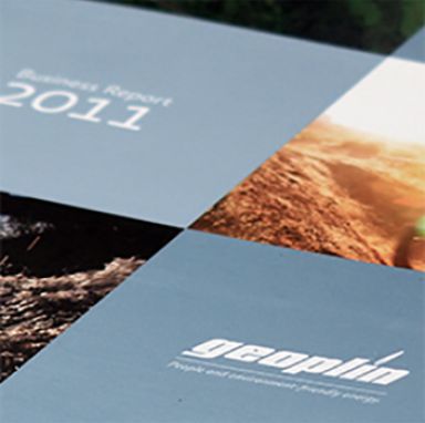 portfolio/details/annual-report-geoplin-2011.html